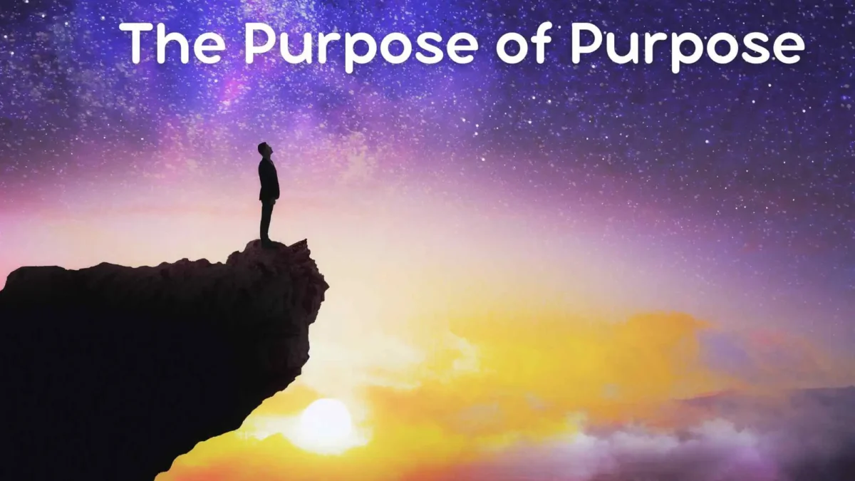 The Purpose of Purpose