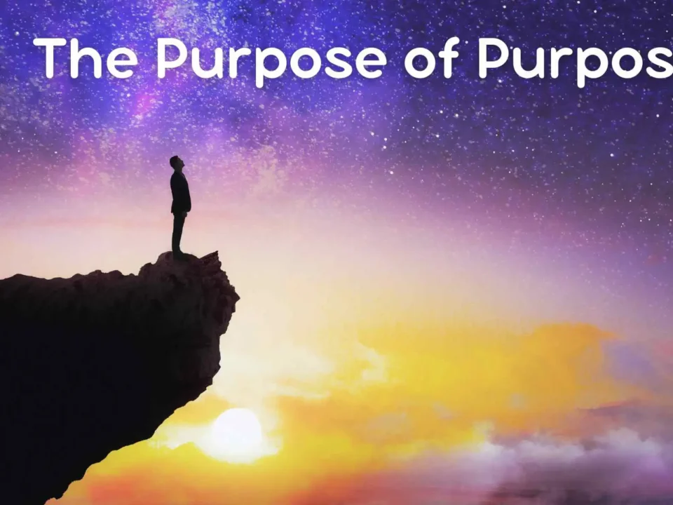 The Purpose of Purpose